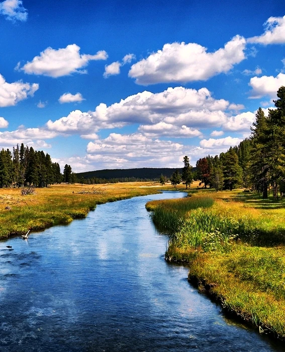 Image uploaded by Goethe