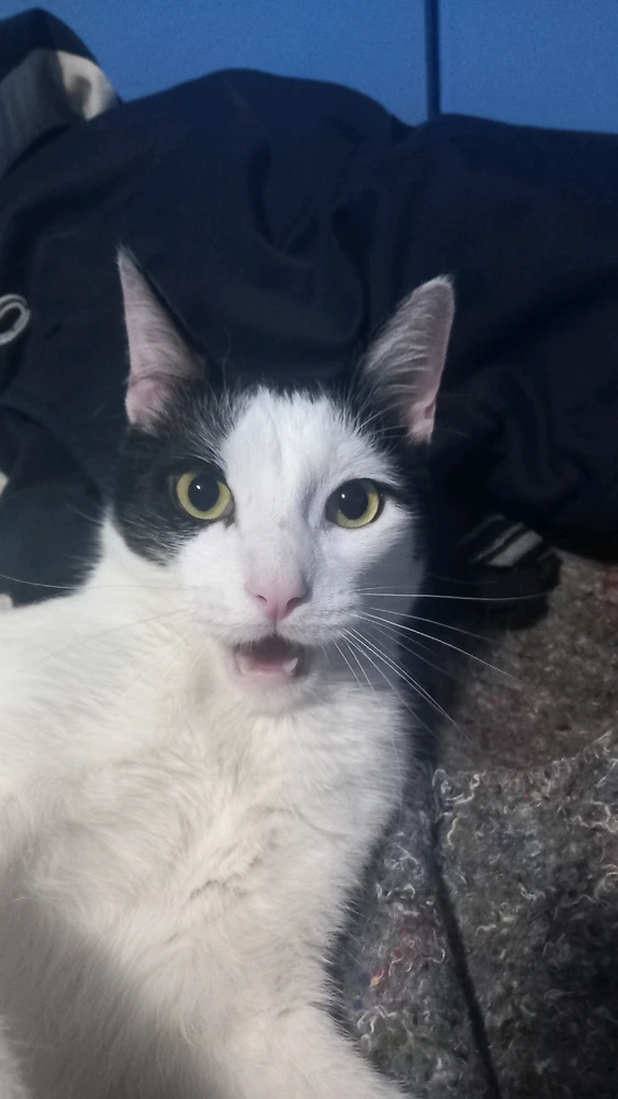 Imagen subida por Benjamin