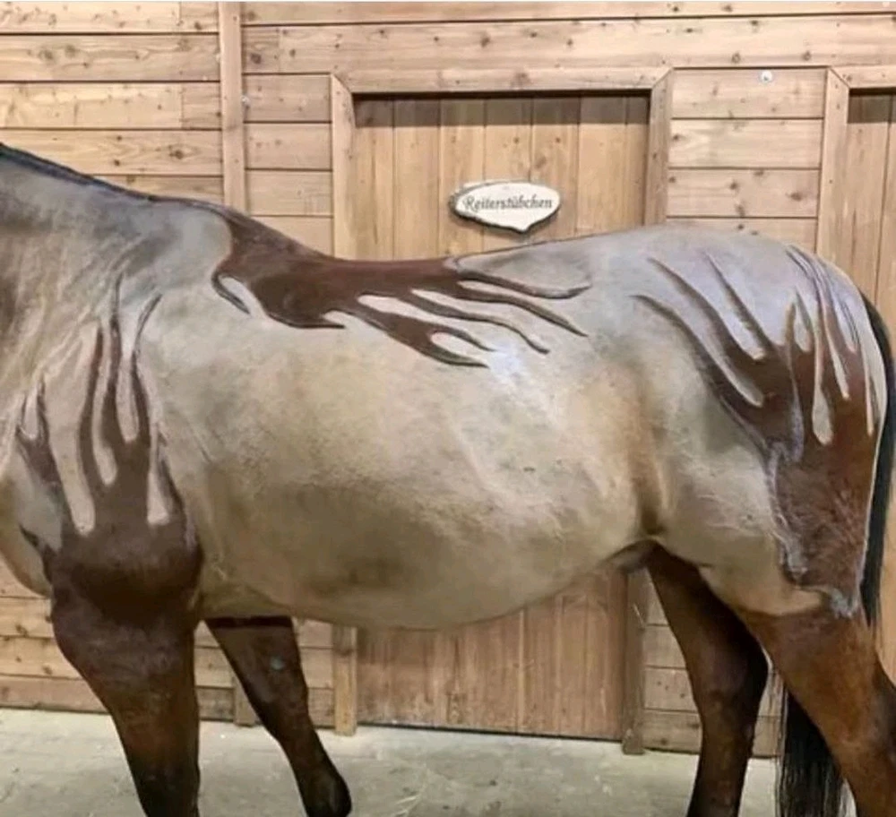 Zdjęcie dodane przez Mateusz