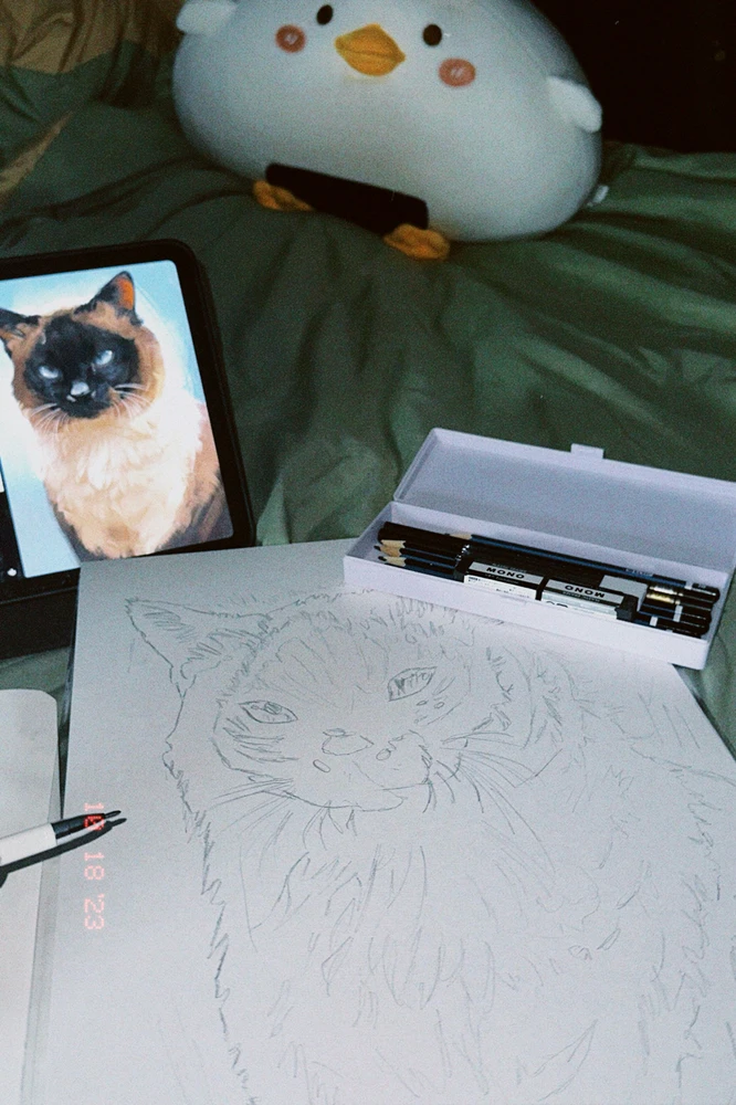 Imagen subida por Aurore