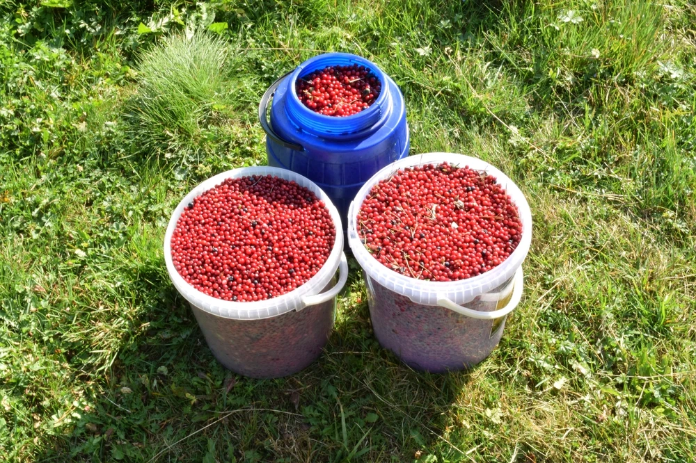 Fotku nahral/-a Ivan