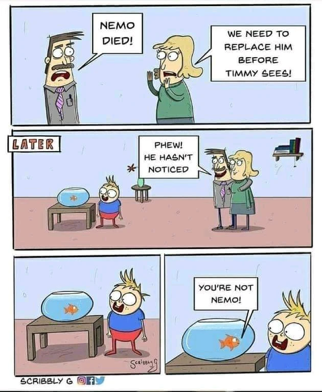 Zdjęcie dodane przez Mateusz