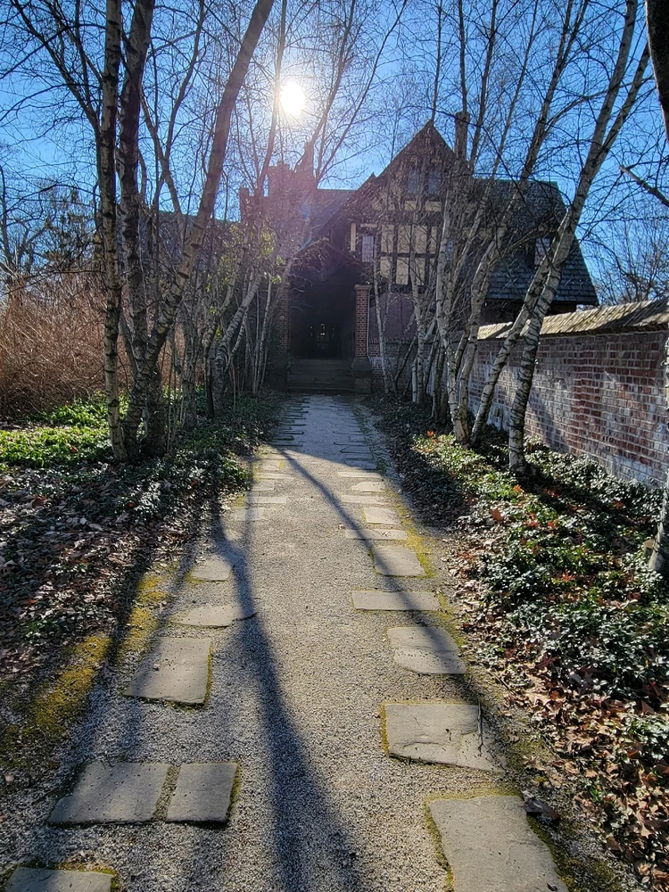 Image uploaded by Reid