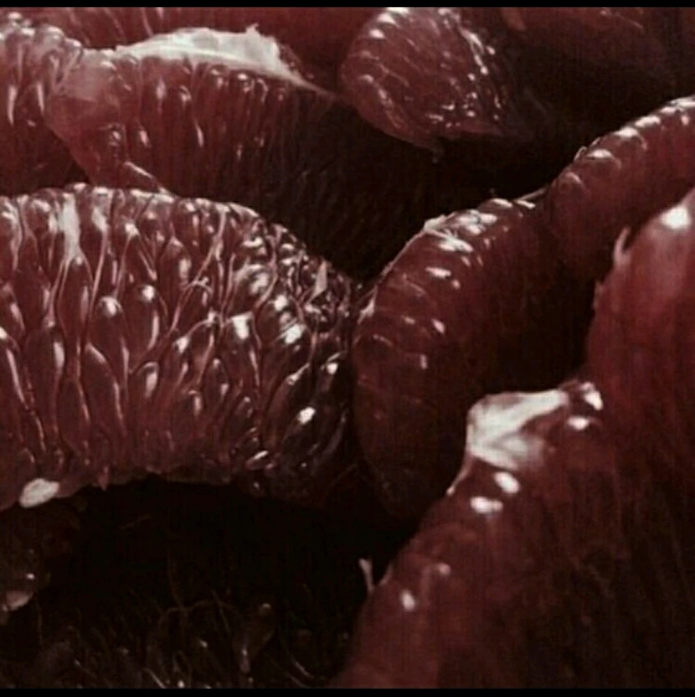 Фото загрузил Кира