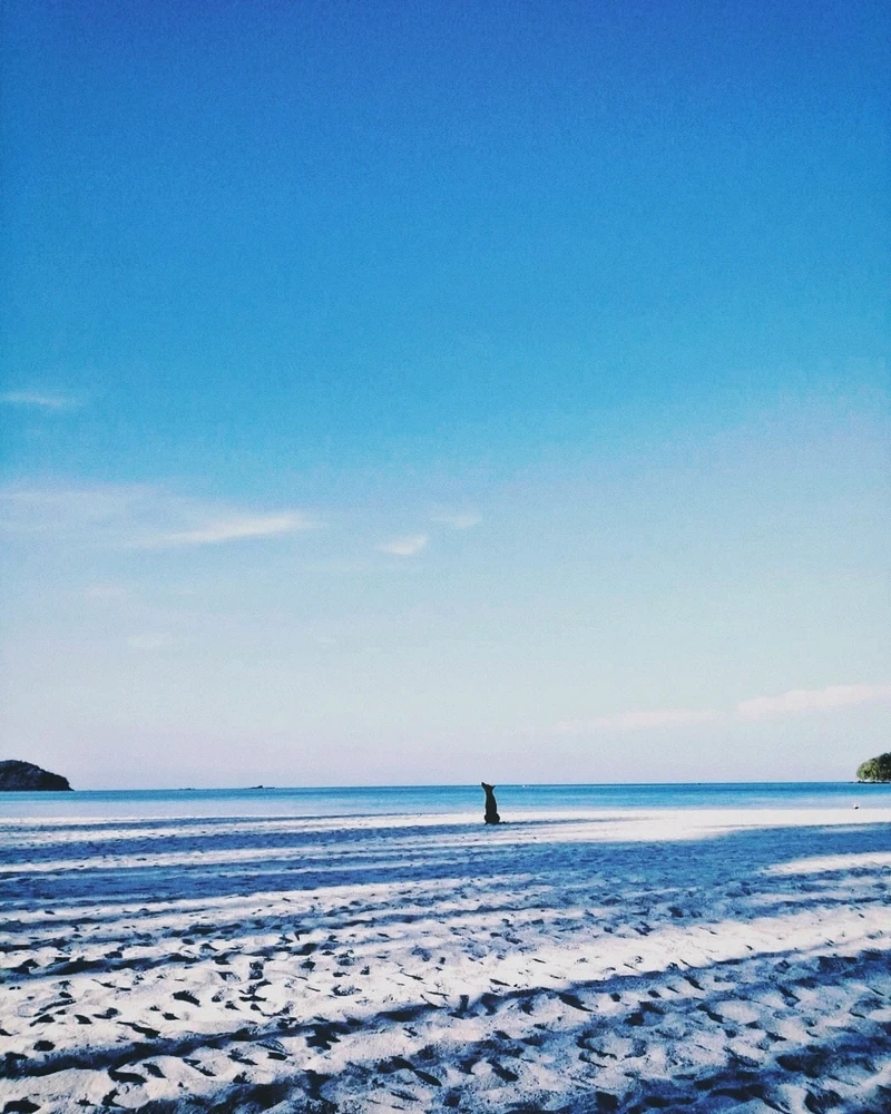 I-upload ni Jarmoni ang larawan
