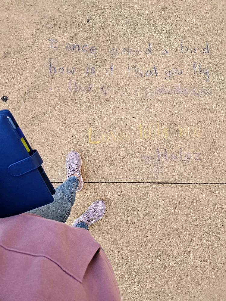 Image uploaded by Mahsa