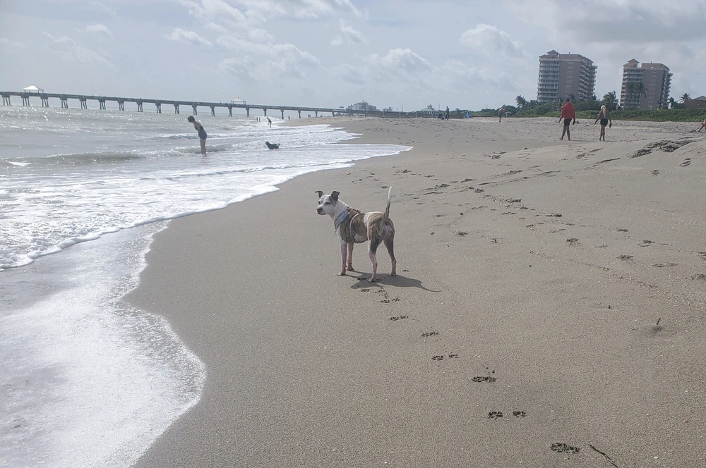 Image uploaded by Stephanie