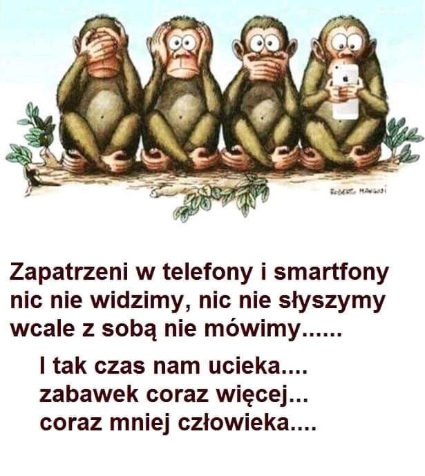 Image uploaded by Marcin Miszczak (Poland 🇵🇱 )