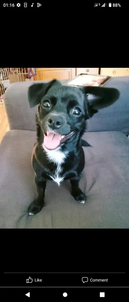 Image uploaded by Eliza 🐉