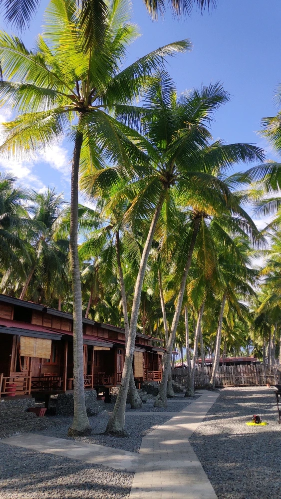 Gambar diunggah oleh Pip