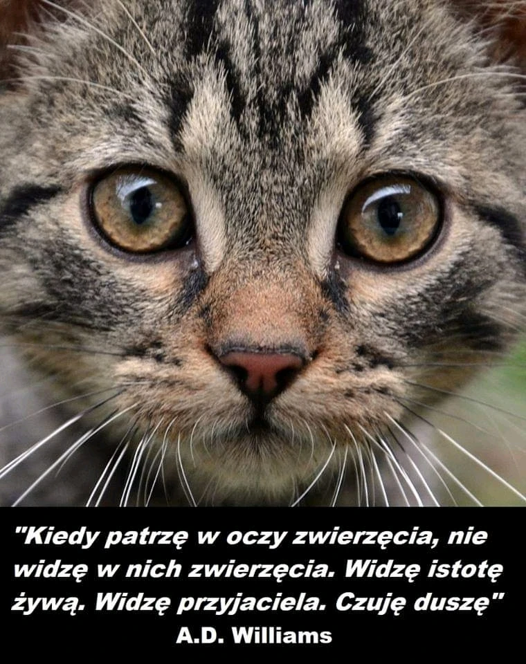 Image uploaded by Marcin Miszczak (Poland 🇵🇱 )