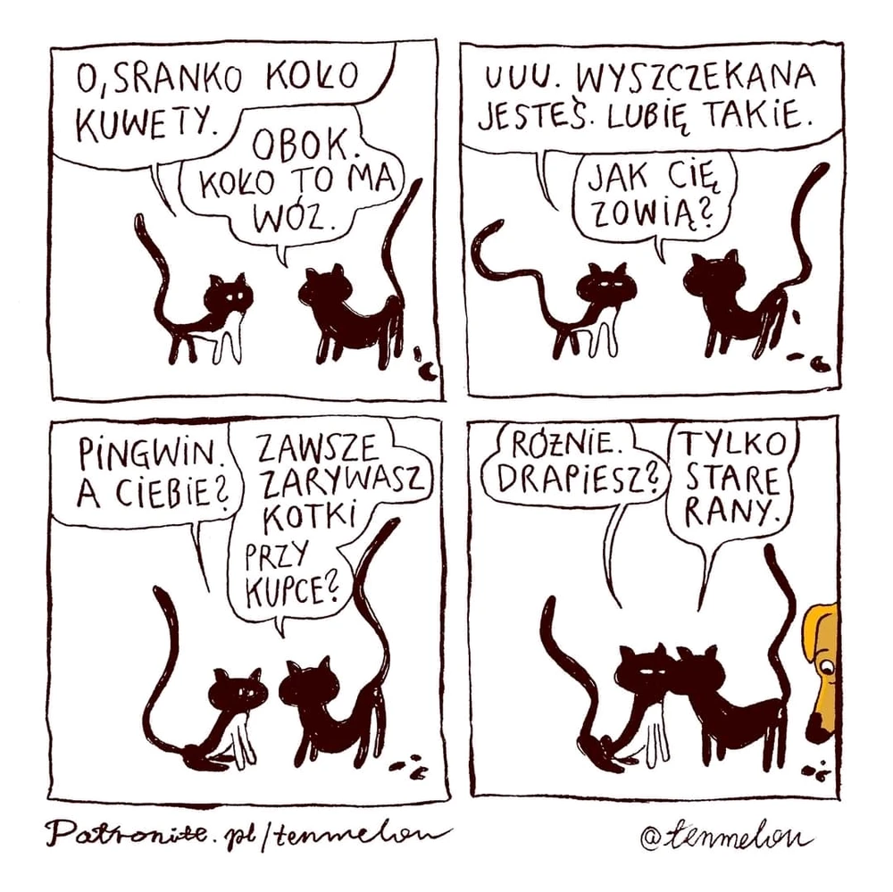 Zdjęcie dodane przez Martee