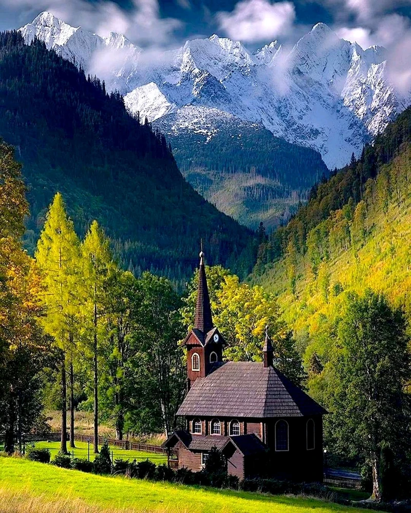 Image uploaded by Jan said
