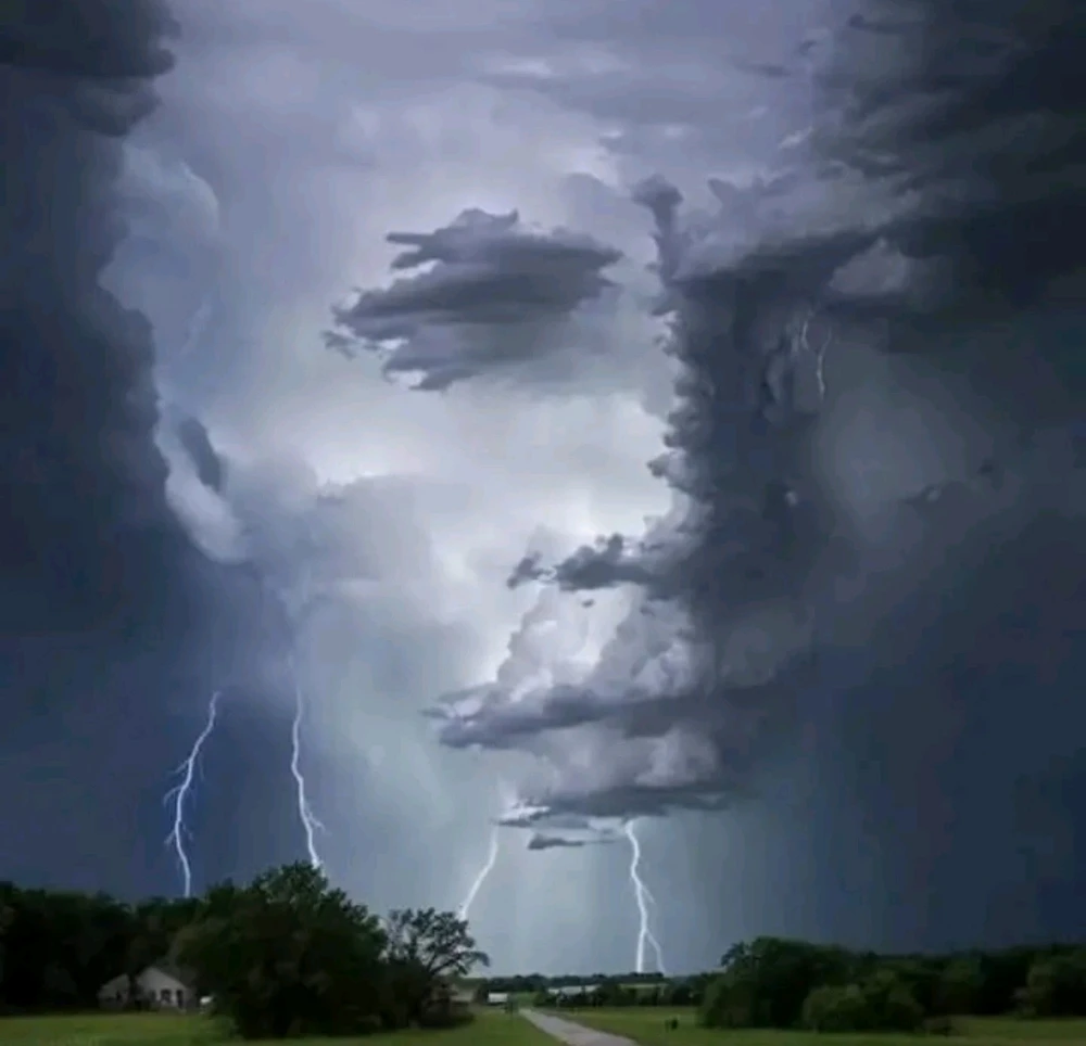 Image uploaded by Gubi π