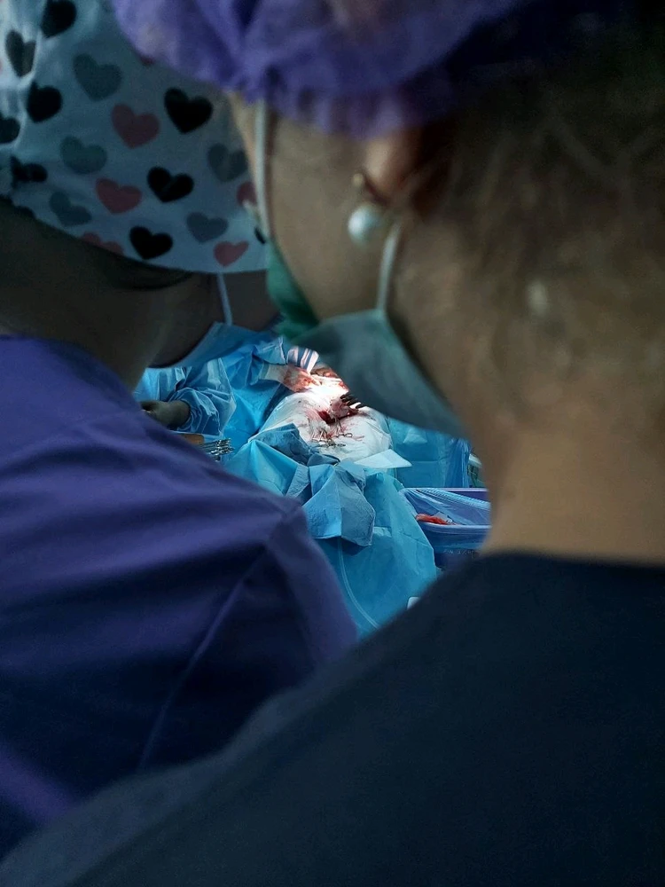 Зображення завантажив Mariia