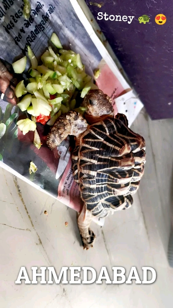 Image uploaded by Suraj Shaw