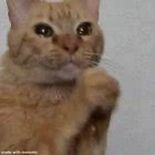 I-upload ni Julia ang larawan