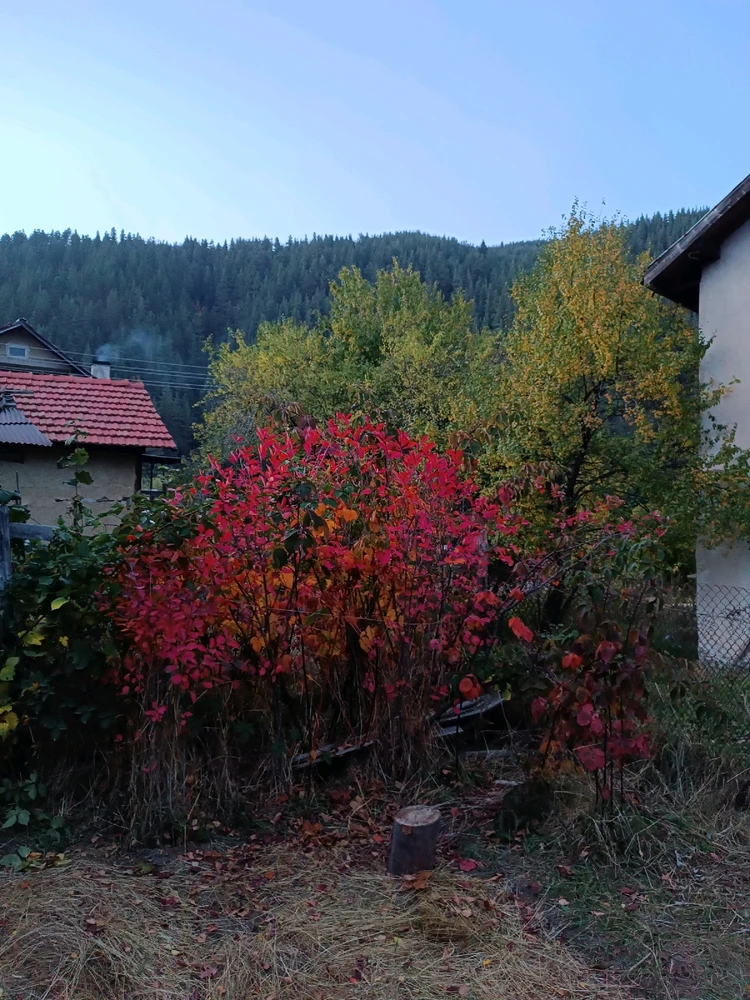 Image uploaded by Neon Rain