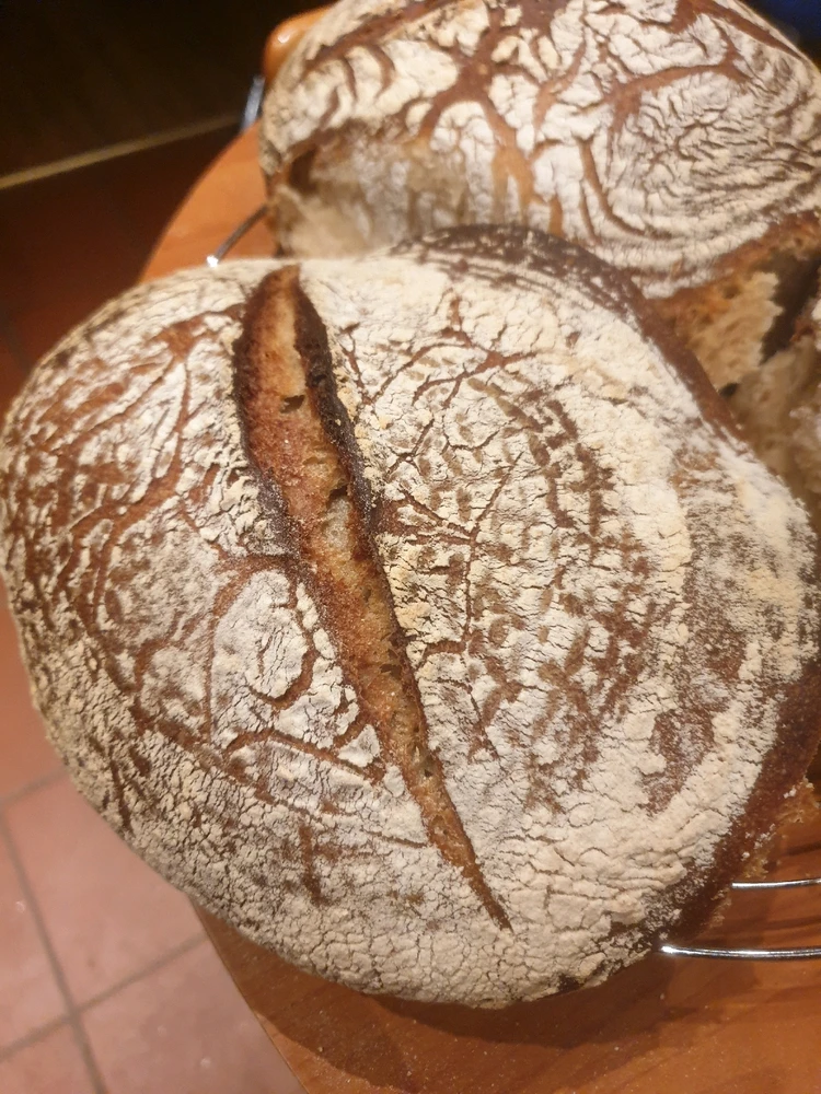 Bild hochgeladen von Christian