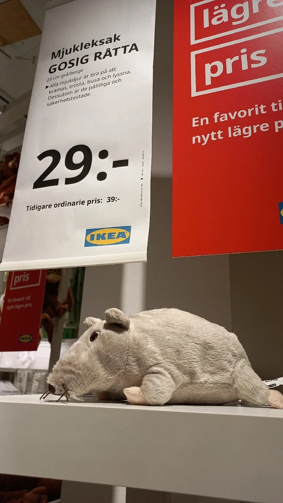 Sliku je postavio/la Jon