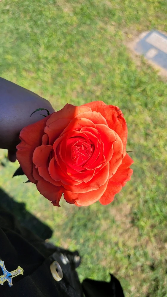 Quinn님이 올린 사진