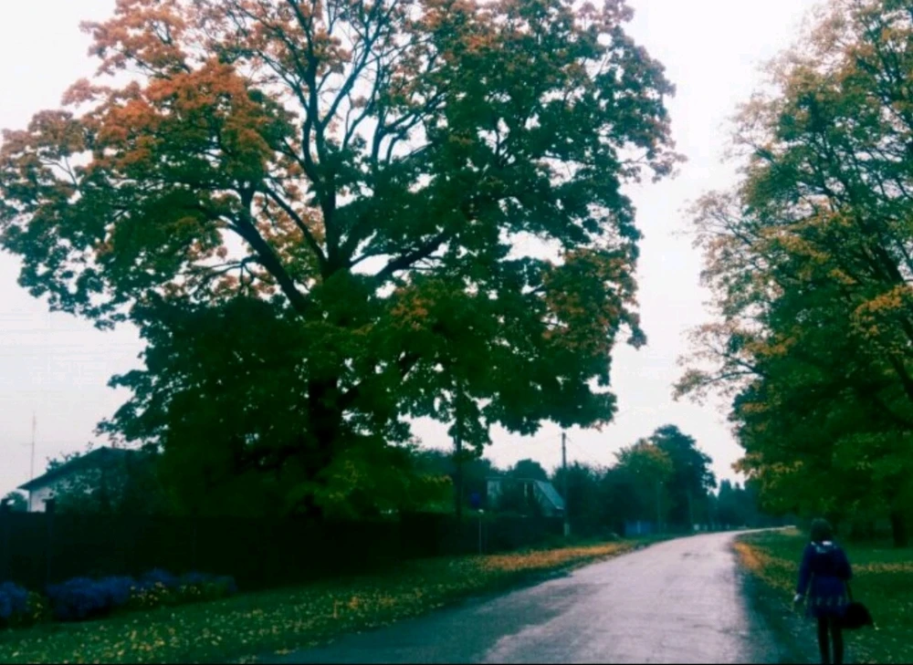 Зображення завантажив Альона