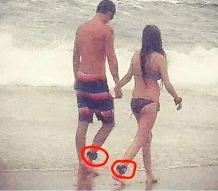 Immagine caricata da Khemais