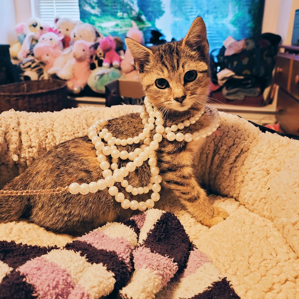 Image uploaded by Qing Mother