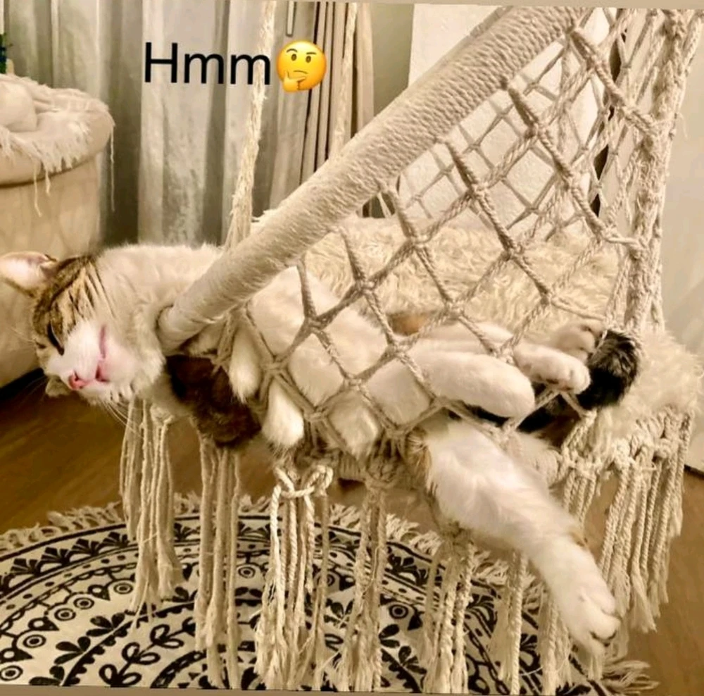 Bild hochgeladen von Simon