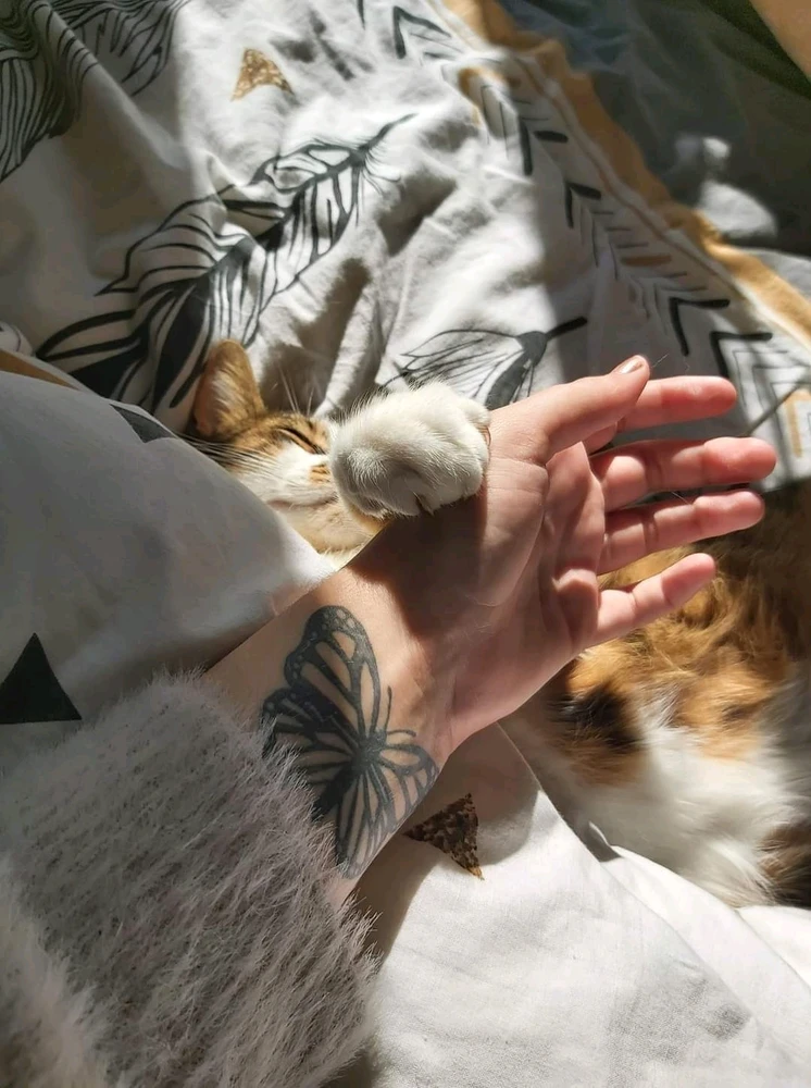 Image ajoutée par Céline