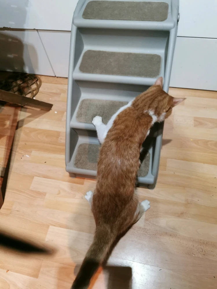 Bild hochgeladen von Günnie