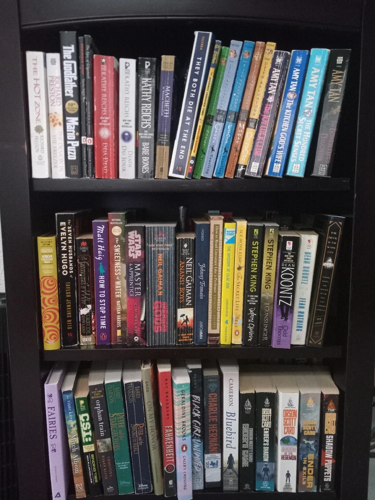 Double-stacked bookshelf 