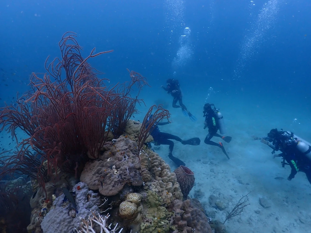 รูปที่อัพโหลดโดย Jane