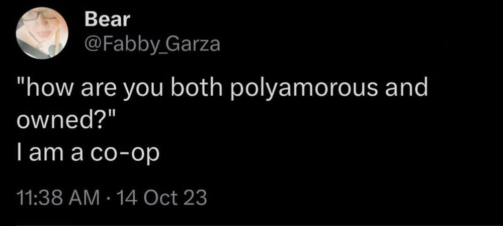 Poly meme 