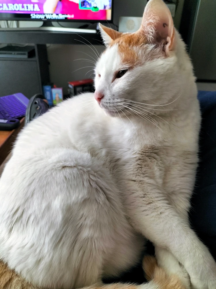 Imagen subida por Felipe