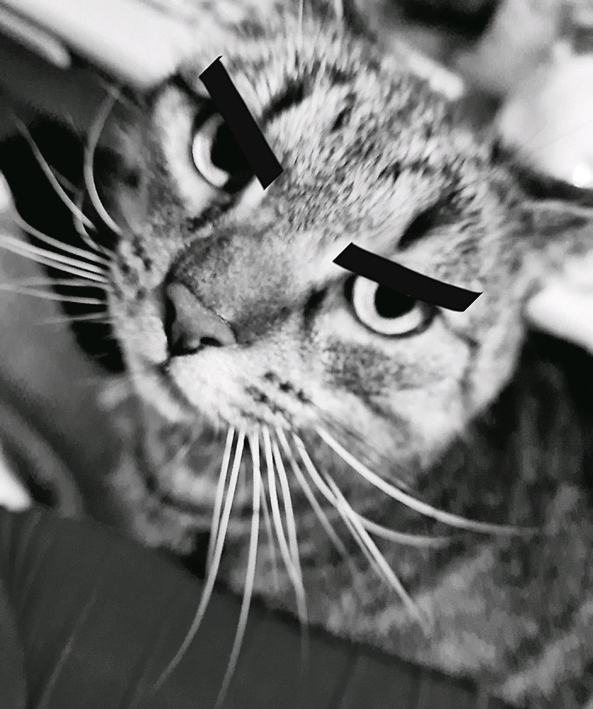 Bild hochgeladen von Doris