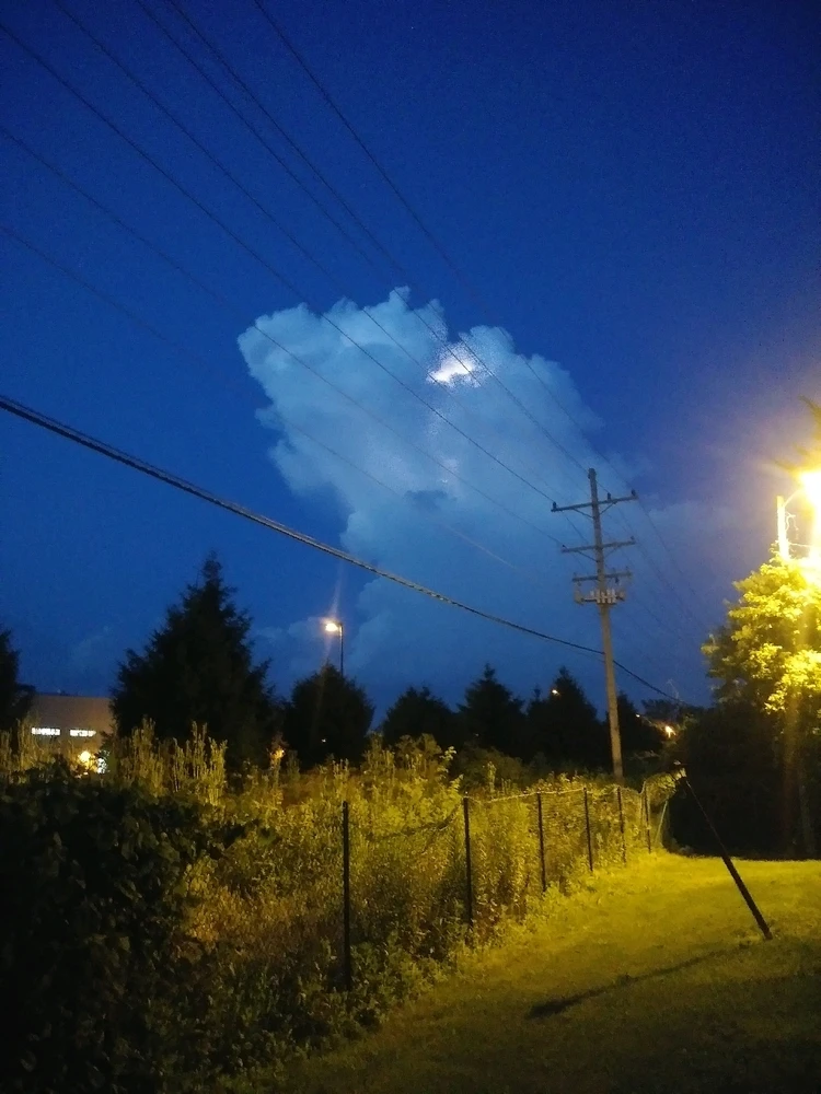 Image uploaded by Kelly