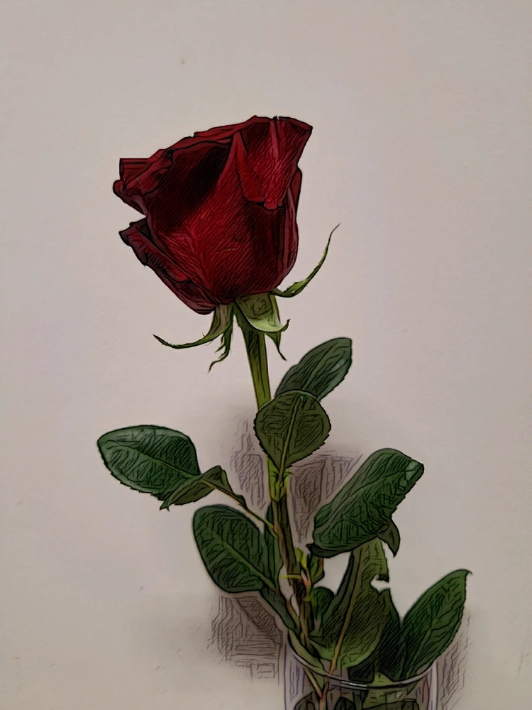 Obrázek nahrál Martin