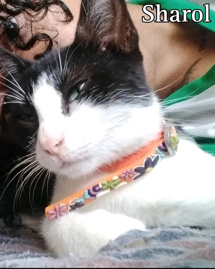 Imagen subida por Jay