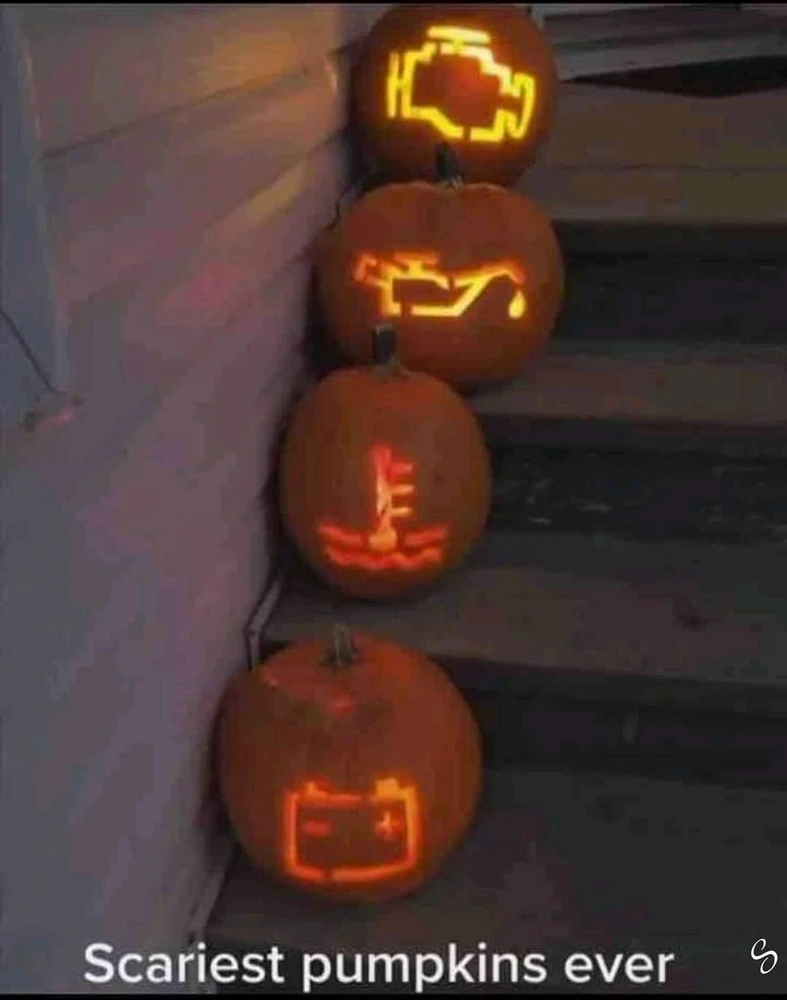 Nuotrauką įkėlė Vaida