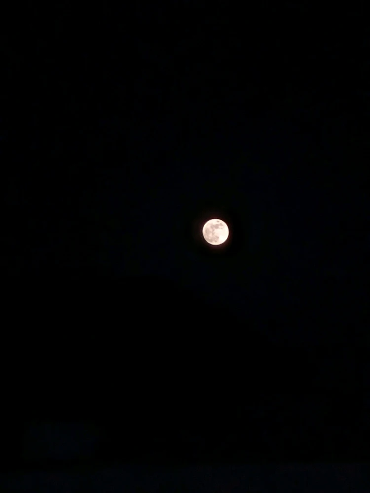 Image uploaded by SriHarish