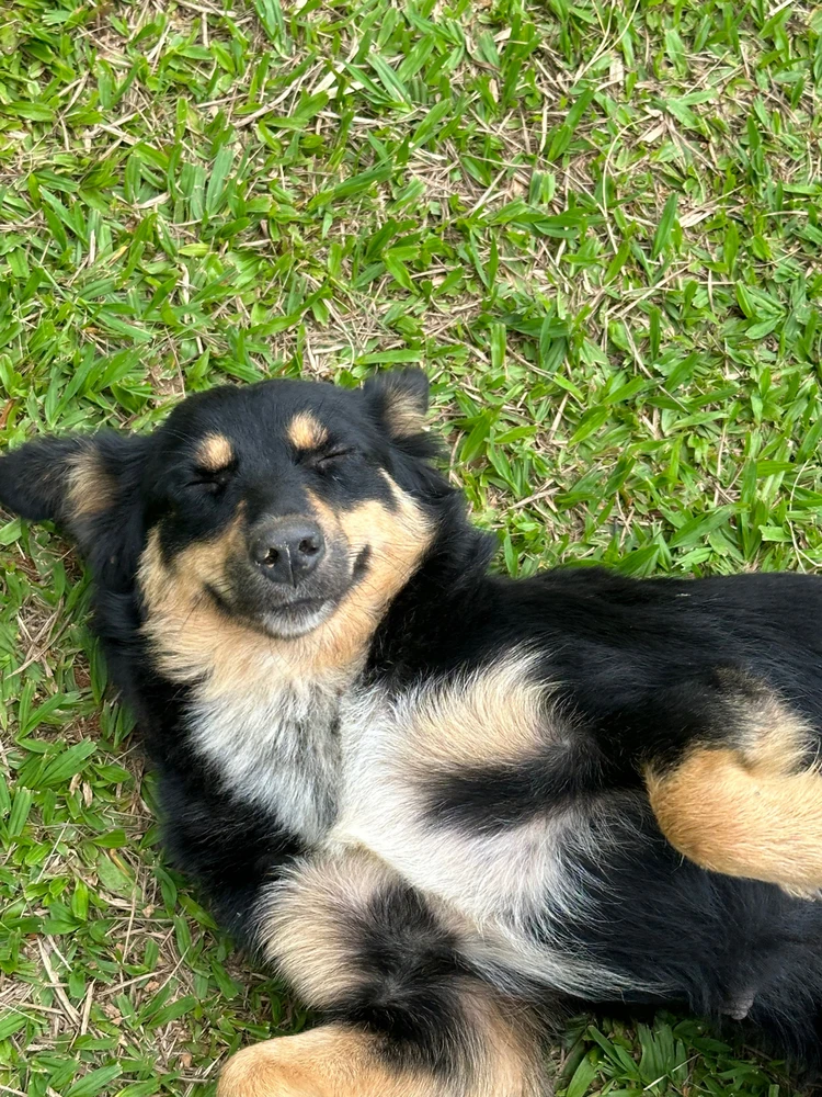 Image uploaded by Livia Macari