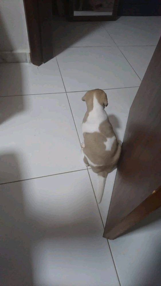 Imagem enviada por Bruno