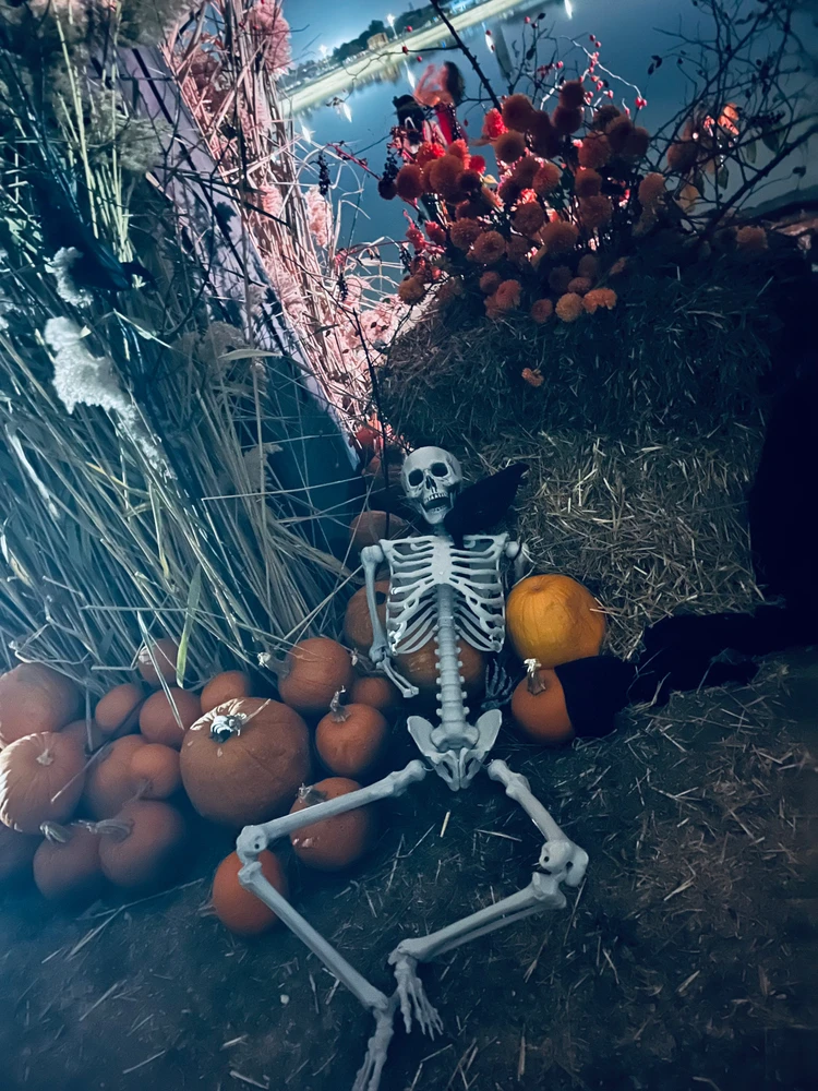 Imagine încărcată de Roxana Rocs