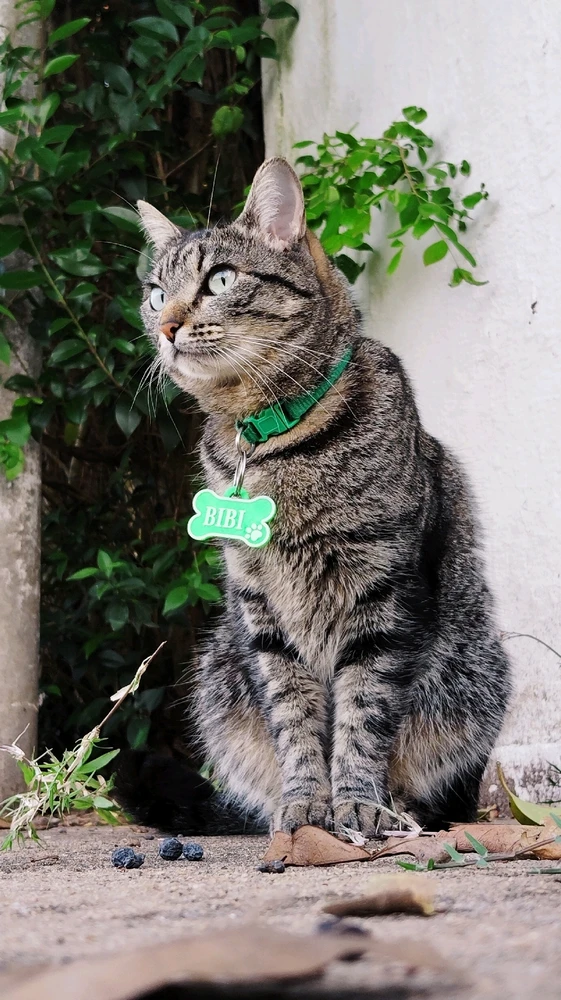 Imagen subida por Sara