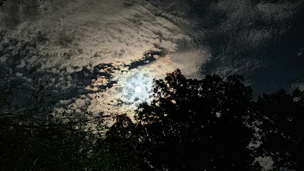 Image uploaded by Andy