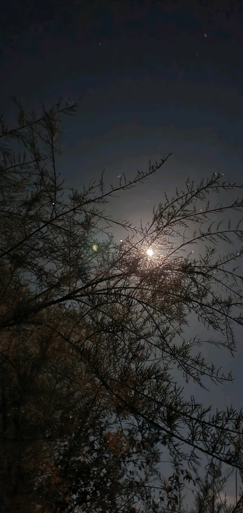 Imagine încărcată de Cătălin