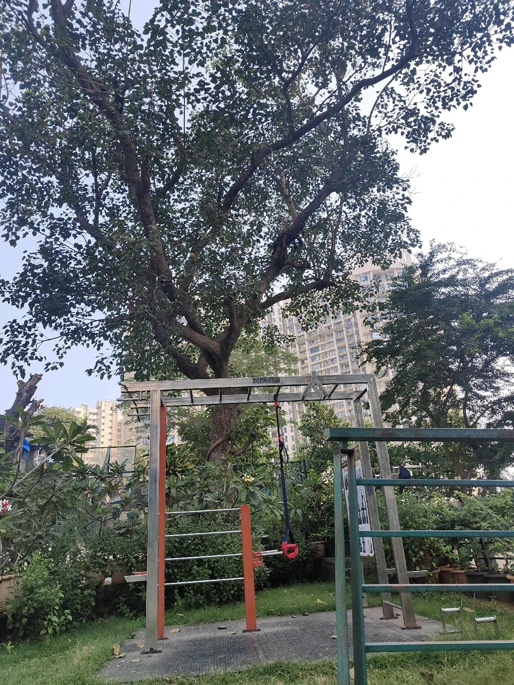 由sandy上传的图片