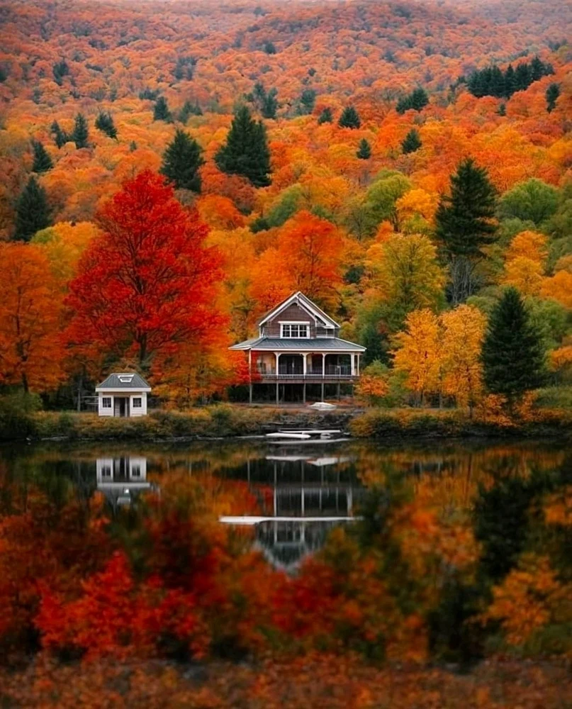 Image uploaded by Jan said