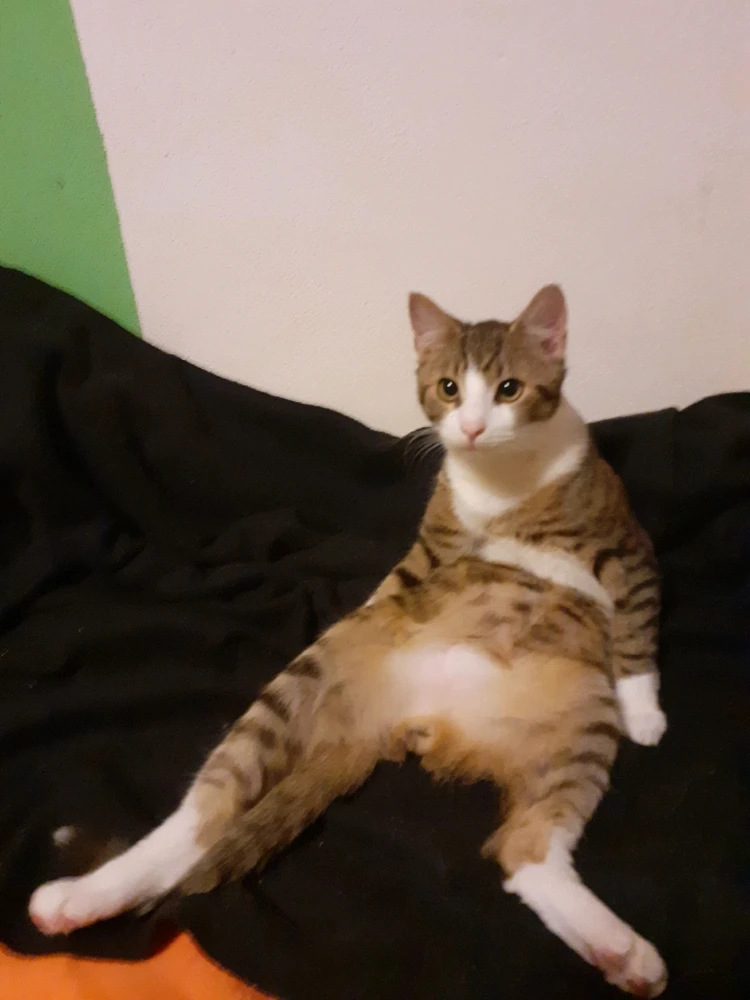 Bild hochgeladen von Dane